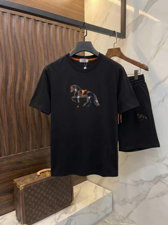 Picture of Hermes Shirt Pant Suits _SKUHermesM-3XLxetr13322394